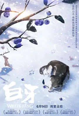 午夜性视频播放免费视频